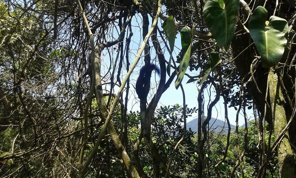 Canto De Paz Trindade Hospedagem Hotell Eksteriør bilde